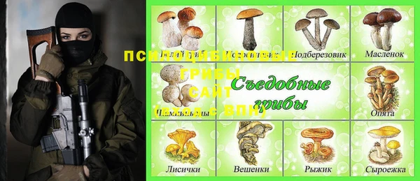 ешки Алексин
