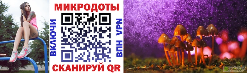 Псилоцибиновые грибы прущие грибы  блэк спрут ссылки  Кашира 